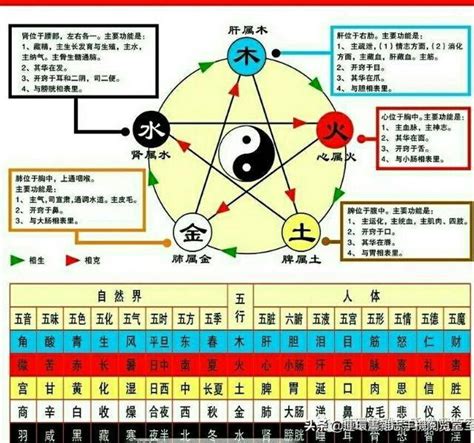 金木水火土查询|金木水火土命查询表